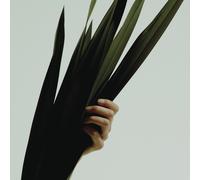 Wet Weak (Vinyl)