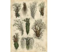 Weta Workshop Seigneur des Anneaux Impression d'art Forêt de Fangorn 59 x 30 cm