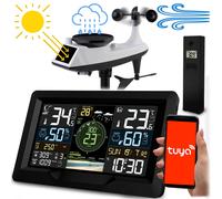Wetterstation mit Wind- und Regensensor BD-914 schwarz