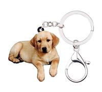 WEVENI Porte-clés Labrador Retriever Cadeau pour Amoureux des Pet，Marron