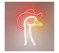 Wexxaii enseigne lumineuse au néon Lampe enseigne lumineuse néon avec chapeau d'oie et cowboy rigolo, 33 cm x 24(C)