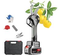 WEYIMVTO Sécateur sans Fil, Taille-haie électrique avec Gants et boîte à Outils, Ciseaux électriques sans balais for Jardinage, Haies, Branches, Fleurs, 21 V, 2 Ah, 1 Batterie