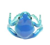 Wezalget Anneaux de grenouille pour femmes, anneaux de grenouille | Anneau de grenouille d'arbre | Ouvert réglable Cool drôle de bijoux sur le thème naturel pour les femmes hommes garçons filles