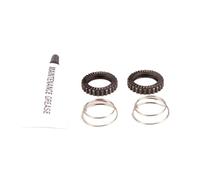 WFGJSK Kit d'entretien pour Moyeu De Vélo À Cliquet en Étoile - Compatible avec DT Swiss 36T Système De Roue Patchet - Accessoire De Réparation pour Moyeu