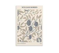 Wfhbcnhg William Morris - Impression sur toile de fruits ou de grenade, décoration murale moderne pour chambre à coucher, salon, 20 x 30 cm, sans cadre