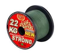 WFT KG Strong Fil tressé, de mer, de pêche, de pêche, de couleur : vert 600 m, 0,25 mm, 39 kg, couleur : vert