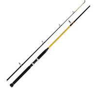 WFT Never Crack Senso Pilk 2,70m 50-160g