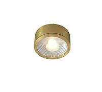 WFZRXFC Petit projecteur en laiton doré Plafonnier encastré à LED La lumière neutre à LED n'est pas réglable Éclairage de plafond Avec abat-jour en verre transparent Plafonnier Utilisé dans la chambre