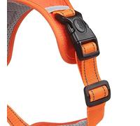 WGFOIP Harnais pour Animaux de Compagnie, Laisse Réfléchissante et Réglable pour Une Promenade Sûre du Chien en Extérieur, Orange 32-93cm (M)