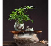 WGQDQDBY Cascade Asiatique Compacte pour Table de Thé-shape2