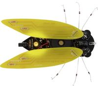 Whadda WSAK204 Cigale Modèle (kit/module): kit à monter 9 V