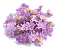 Whakano Lot de 150 fleurs de cerisier artificielles décoratives de 2,5 cm de diamètre, mini fleurs artificielles en soie, multicolores, pour bricolage, mariage, bouquet, maison, décoration de table,