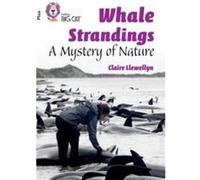Whale Strandings A Mystery of Nature by Claire Llewellyn Paperback Book Claire Llewellyn (Auteur)