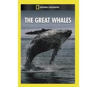 Whales