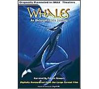 Whales - An Unforgettable Journey (Large Format) [Import USA Zone 1]