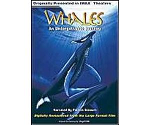 Whales - An Unforgettable Journey (Large Format) [Import USA Zone 1]