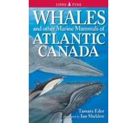 Whales And Other Marine Mammals Of Atlantic Canada