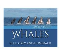 Whales: Blue, Grey And Humpback (Born To Be Free)