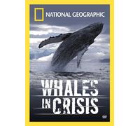 Whales in Crisis – DVD – Zone 1