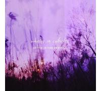 Whales in Cubicles - Death in The Evening [Import]