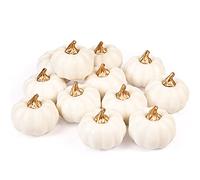 Whaline Lot de 12 citrouilles artificielles en Vrac Vintage en Mousse pour Automne, Halloween, Thanksgiving, fête, Maison, Cuisine, Mariage