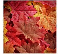 Whaline Lot de 300 feuilles d'érable artificielles de couleur automnale, pour mariages, événements, art, scrapbooking et décorations de Thanksgiving (Rouge)