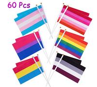 Whaline Lot de 60 mini drapeaux arc-en-ciel Gay Pride - Petits drapeaux transgenres asexuels bisexuels lesbiens - Décorations de fête LGBT (10 pièces de chacun des 6 motifs)