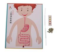 WHAMVOX 4 Ensembles Kit Scientifique Éducatif pour Tout-Petits Matériel de Loisirs Créatifs et Pédagogie Maternelle
