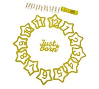 WHAMVOX Guirlande Photo Bébé 1Er Anniversaire 12 Clips Étoiles Paillettes Décoration Murale Bannière Étapes Mensuelles pour Fête Anniversaire Intérieur