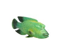 WHAMVOX Modèle de Poisson Plastique Réaliste pour Garçon Fille Décoration Aquarium Figurine Animal Marin Solide Éducatif pour Connaissance Faune
