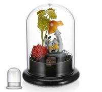 WHAMVOX Terrarium Kit en Verre Dôme et Base, Bouteille en Mousse pour Décoration Salon Plante, Surface Lisse et Résistant Déformation, pour DIY