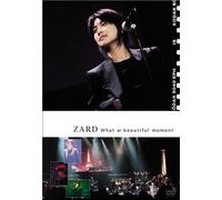 What A Beautiful Moment [Dvd]