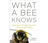 What a Bee Knows by Stephen L Buchmann Stephen L Buchmann (Auteur)