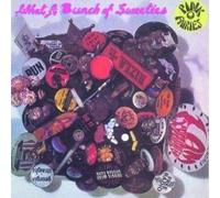 Pink Fairies - What a Bunch of -Rema [Import]