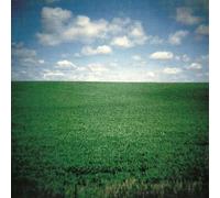 What? (A Compilation of Curious Music)