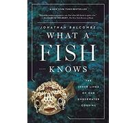 What A Fish Knows