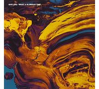 What A Glorious Time