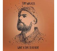 What A Time To Be Alive (Deluxe Edition)