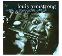 What a wonderful world : The great Satchmo live by Louis Armstrong (Vinyl)