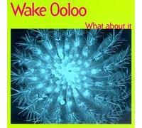 What About It by Wake Ooloo