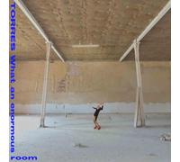 What An Enormous Room