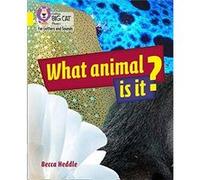 What Animal is It by Becca Heddle Becca Heddle (Auteur)