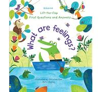 First Questions and Answers What are Feelings by Katie Daynes Unknown (Auteur)
