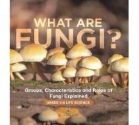 What Are Fungi? Groups, Characteristics And Roles Of Fungi Explained Grade 6-8 Life Science