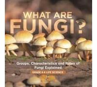 What Are Fungi? Groups, Characteristics And Roles Of Fungi Explained Grade 6-8 Life Science