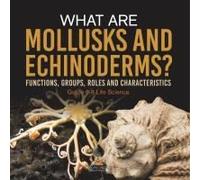 What Are Mollusks And Echinoderms? Functions, Groups, Roles And Characteristics Grade 6-8 Life Science