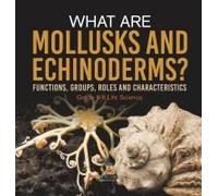 What Are Mollusks And Echinoderms? Functions, Groups, Roles And Characteristics Grade 6-8 Life Science