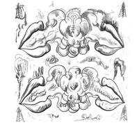 What Are People for / Notwist - Criminals/Illusions [Vinyl LP]