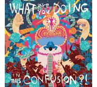 What Are You Doing in This Con [Import allemand]