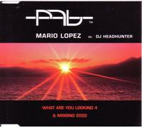 What Are You Looking 4 & Missing 2002